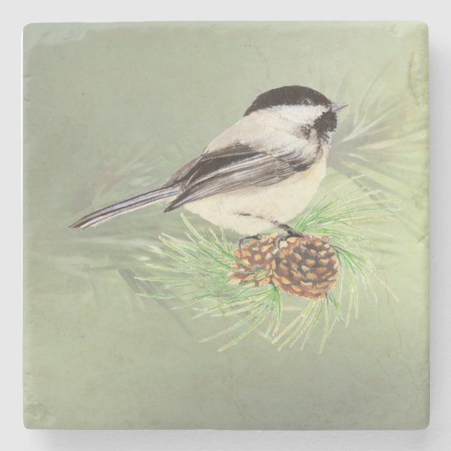 Wasserfarbene Chickadee im Pine Tree Bird Arena Steinuntersetzer (Vorderseite)