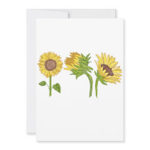 Wasserfarbene, handbemalte Sonnenblume Blühen