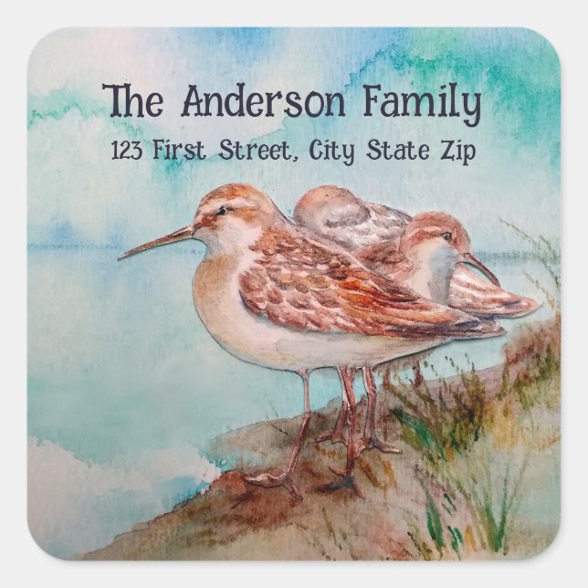 Wasserfarbene Sandpiper Wasservögel Kunst, Dichtun Quadratischer Aufkleber (Vorderseite)