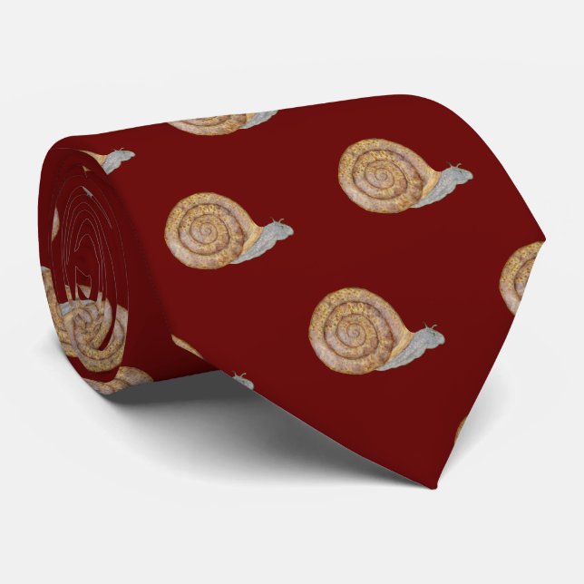 Wasserfarbene Schnecke Krawatte (Gerollt)