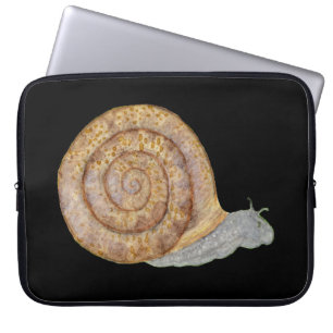 Wasserfarbene Schnecke Laptopschutzhülle