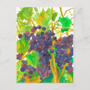 Wasserfarbene Weintrauben Malerei Postkarte