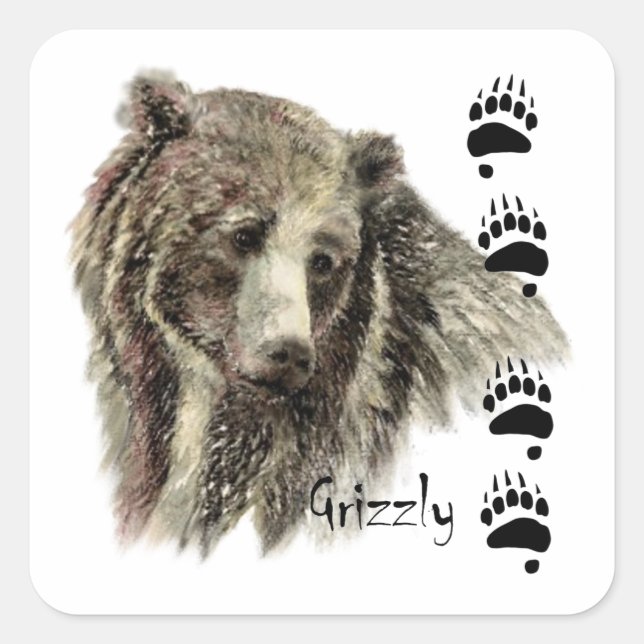 Wasserfarbener Bär Wilhelm Tell Quadratischer Aufkleber (Vorderseite)