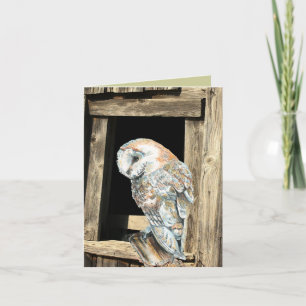 Wasserfarbener Barn Bwl Bird Nature Feiertagskarte