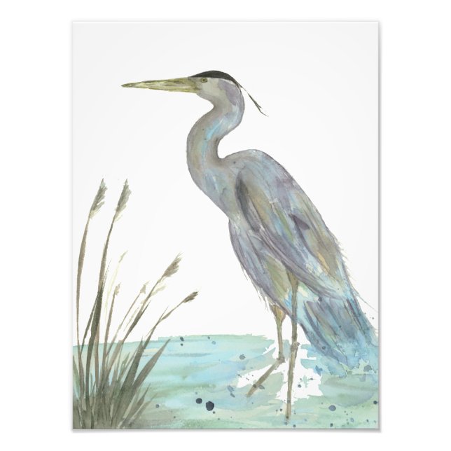 Wasserfarbener Heron im Marsch Fotodruck (Vorne)