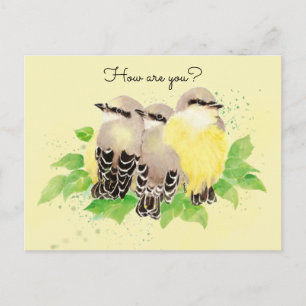 Wasserfarbener Kingbird Garden Bird Nature Postkarte