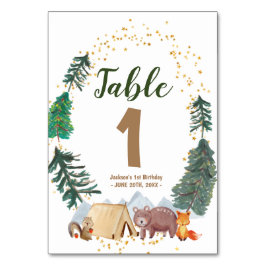 Wasserfarbenfrohe Camper 1. Geburtstagsfeier Tisch Tischnummer