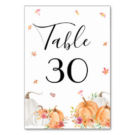 Wasserfarbenkürbis Hochzeitsfeier Tischnummer