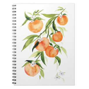 Wasserfarbenpfirsiche Sommerfrucht Spiralfeuer Notizblock