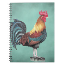 Wasserfarbenrooster