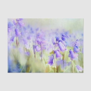 Wasserfarbfeld Blume-Bluebell (C) Seidenpapier
