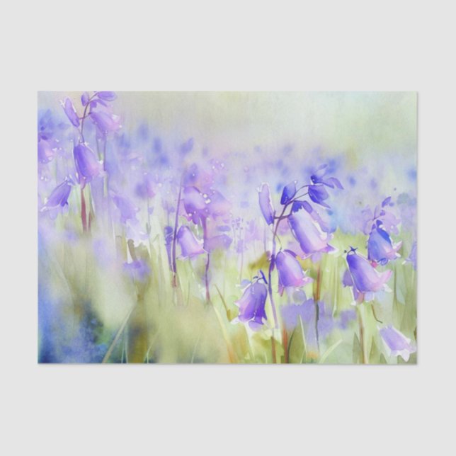 Wasserfarbfeld Blume-Bluebell (C) Seidenpapier (Vorderseite)
