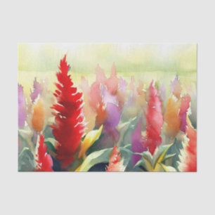 Wasserfarbfeld Blume-Celosia (C) Seidenpapier