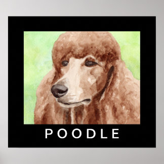 Wasserfarbpoodle Poster