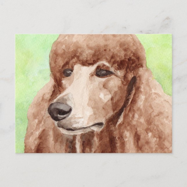 Wasserfarbpoodle Postkarte (Vorderseite)