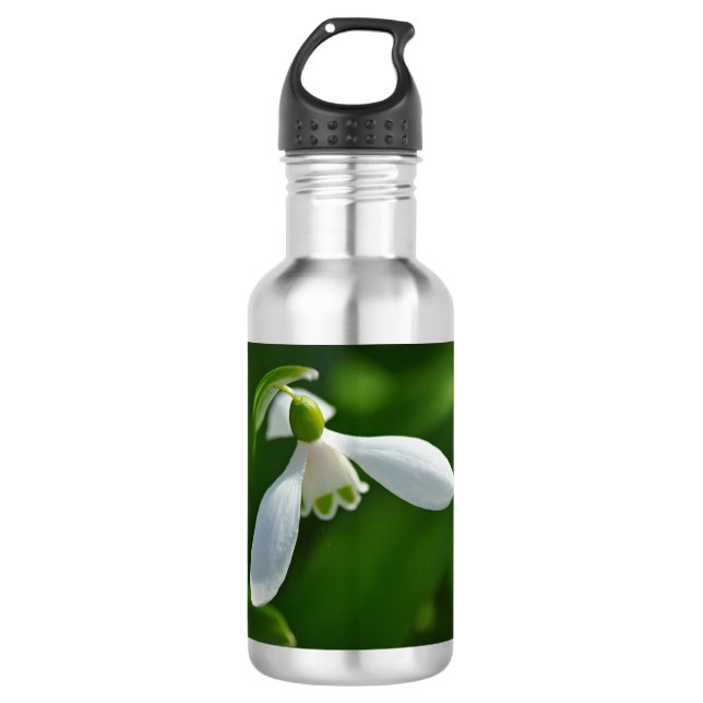 Wasserflasche (Vorderseite)