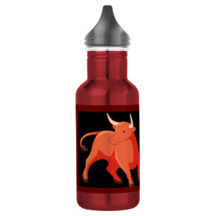 Wasserflasche (18 oz) - Flasche aus rostfreiem Sta