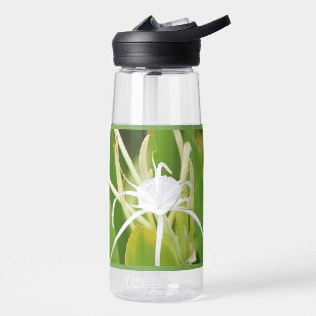 Wasserflasche (25 oz) Eddy® Trinkflasche (Links)