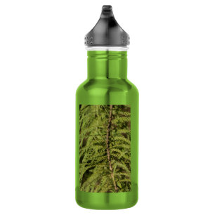 Wasserflasche für die Wirbelsäule