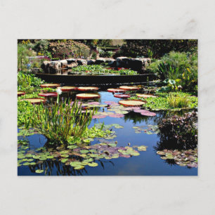 Wassergarten Postkarte