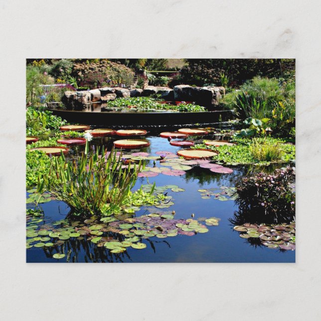 Wassergarten Postkarte (Vorderseite)
