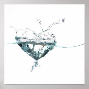 Wasserherd Poster