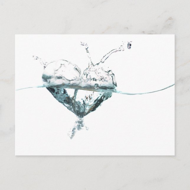 Wasserherd Postkarte (Vorderseite)