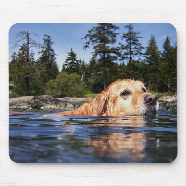 Wasserhund - Maus-Pad Mousepad (Vorne)