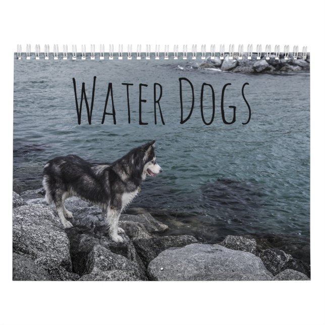 Wasserhunde Kalender (Titelbild)