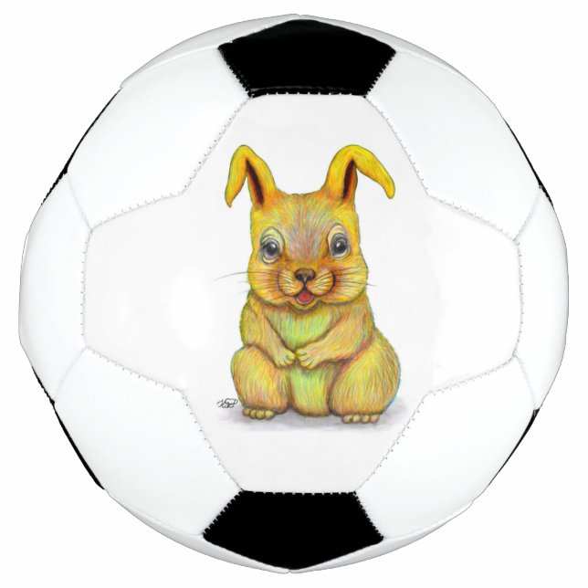 Wasserkaninchen Fußball (Vorderseite)