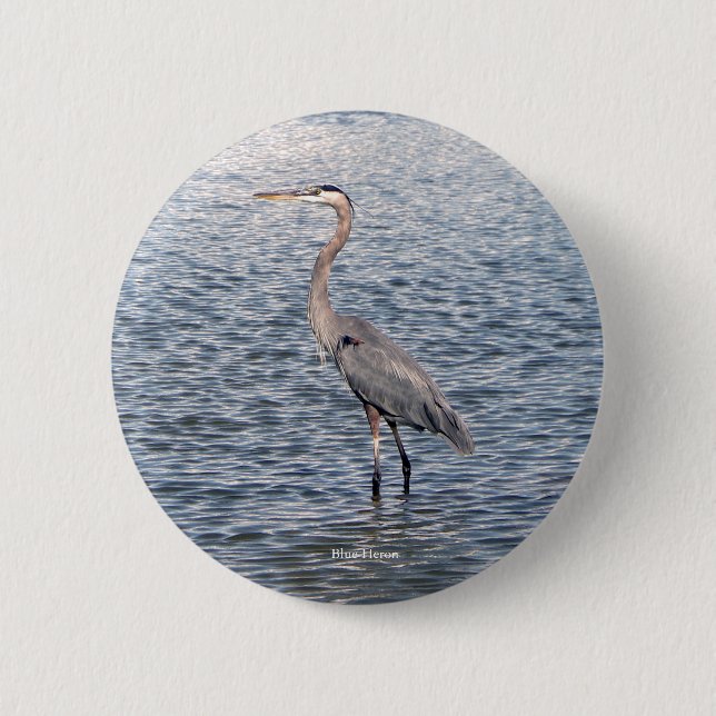 Wasserknopf Blaue Herde Button (Vorderseite)