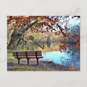Wasserlandschaft mit Bank Foto Postkarte
