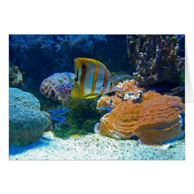 WasserLanscape (Vorderseite (Horizontal))