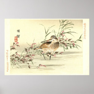 Wasserläufer in Wasser Vintage Japanische Oriental Poster