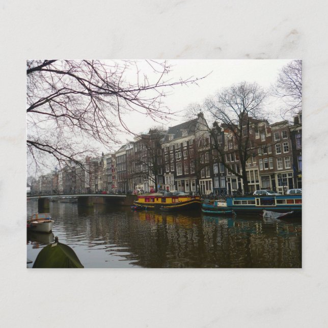 Wasserläufer Postkarte (Vorderseite)