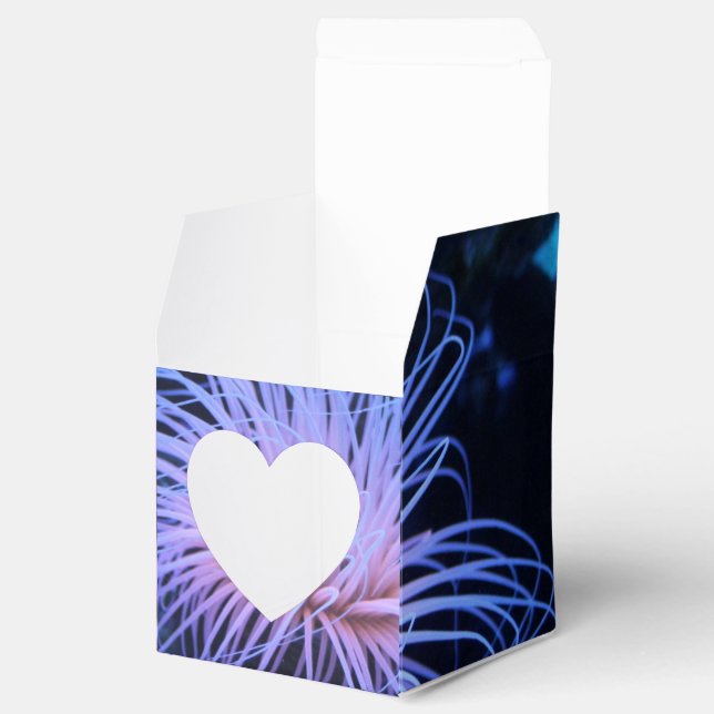 Wasserleben-Fisch-tropisches Paradies-Schicksal Geschenkschachtel (Geöffnet)