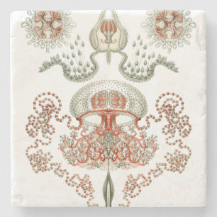 Wasserleben ~ Haeckel ~ Quallen Steinuntersetzer
