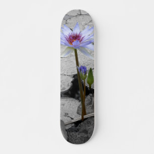 Wasserlilie Beauty Skateboard