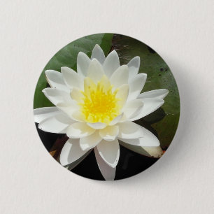 Wasserlilie Button