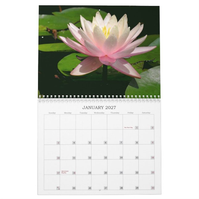 Wasserlilie-Kalender Kalender (Jan 2027)