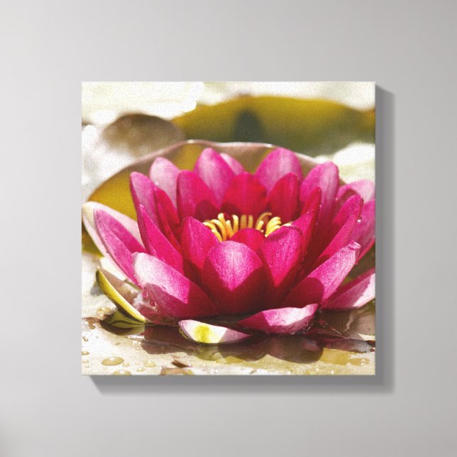 Wasserlilie Leinwanddruck (Vorderseite)