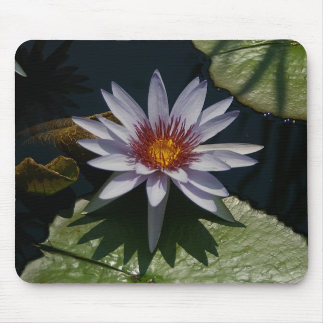 Wasserlilie Lippenstift Mouse Pad Mousepad (Vorne)