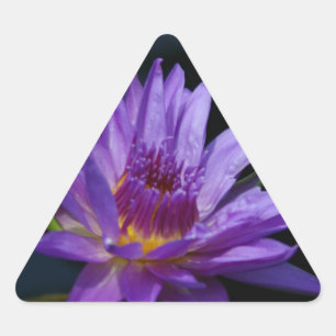 Wasserlilie Lotus Dreieckiger Aufkleber