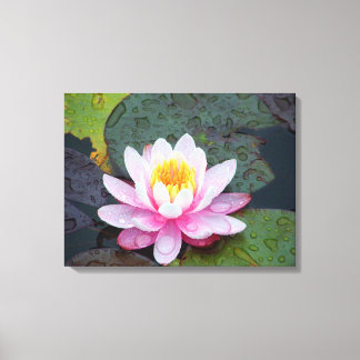Wasserlilie mit Regentropfen gesteppte Canvas Prin Leinwanddruck