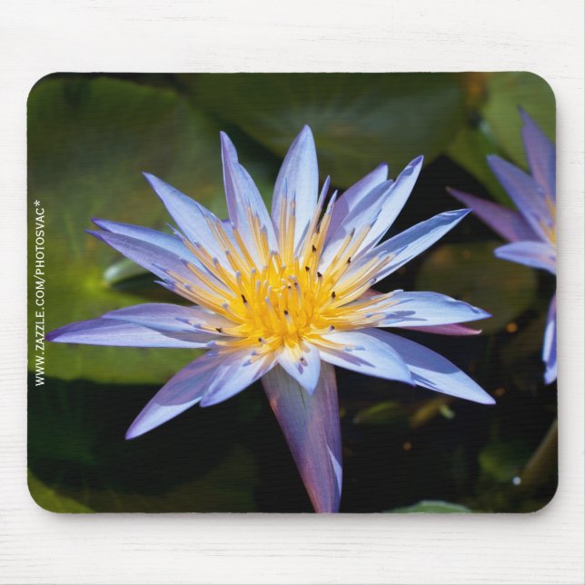 Wasserlilie Mousepad (Vorne)