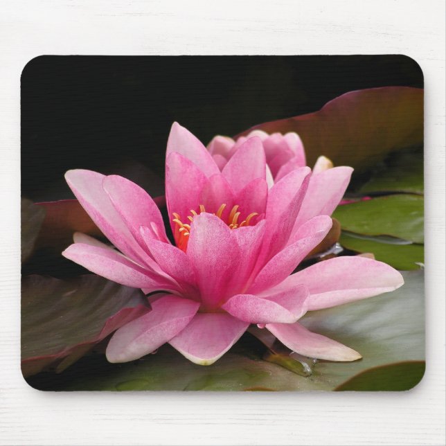 Wasserlilie Mousepad (Vorne)
