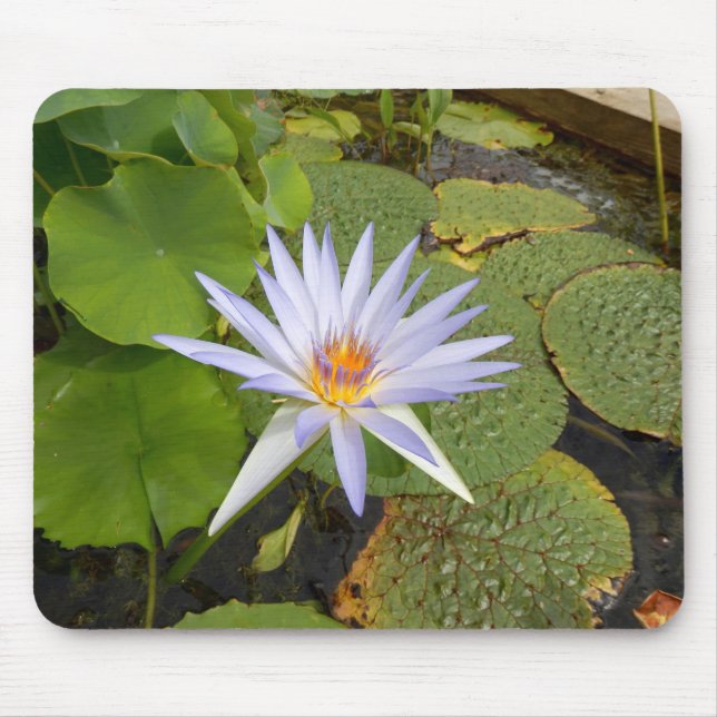 Wasserlilie Muse Mat Mousepad (Vorne)