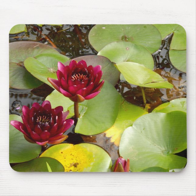 Wasserlilie Muse Mat Mousepad (Vorne)