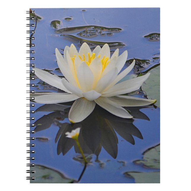 Wasserlilie-Notebook Notizblock (Vorderseite)
