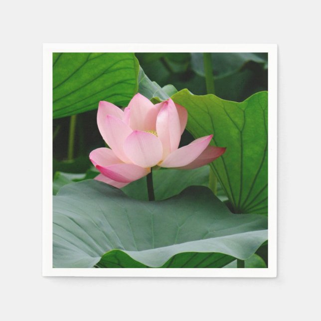 Wasserlilie Pink Serviette (Vorderseite)